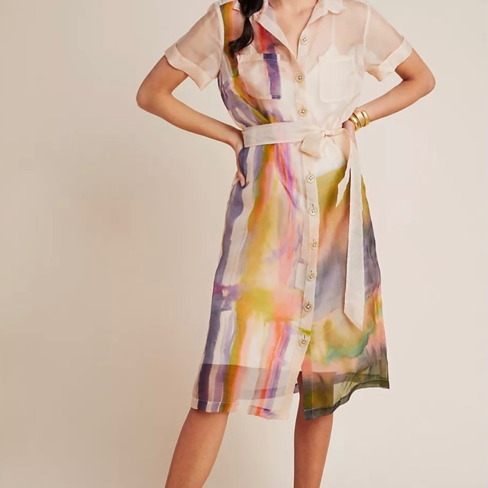 Anthropologie Silk Dress- Artist Edition